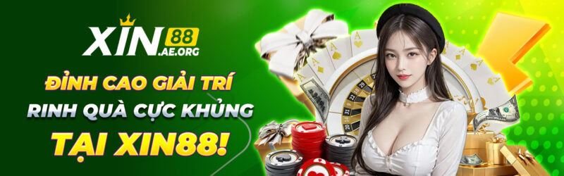 banner xin88